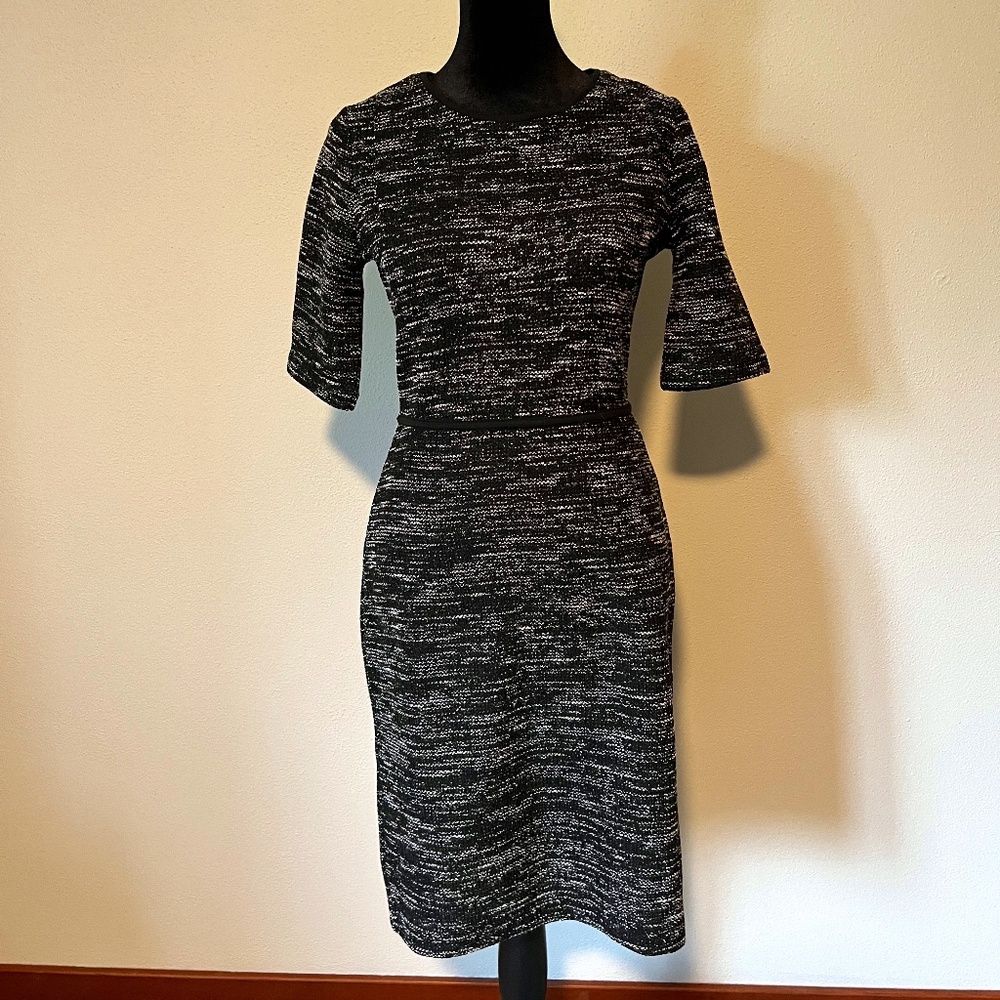 Banana Republic Dress Sz 2